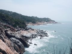-广东惠东海龟国家级自然保护区