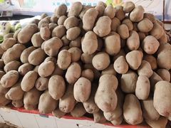 -南坛综合农贸市场