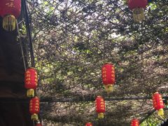 -农厨好味·温泉鹅·农家菜