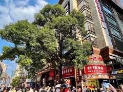 -新雅粤菜馆(南京东路店)