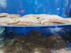 水产区-7fresh七鲜(大族广场店)