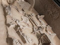 -洛阳周王城天子驾六博物馆