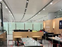 -麦当劳(北京大兴机场二层国内到达(安检外)店)