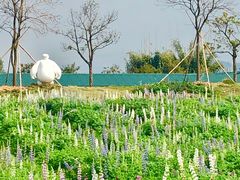 -天适樱花悠乐园