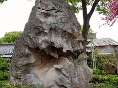 -南汇桃花村
