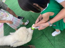 -萌宠亲子动物乐园(槐房万达店)