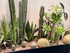 -J Create城市露营咖啡·简餐·宠物(上海动物园店)