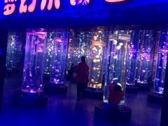 -梦幻海洋王国(吾悦广场张家港店)