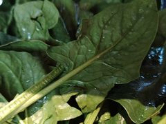 -老员外骨汤火锅(海州古城店)