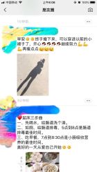-纤济美·减重塑形