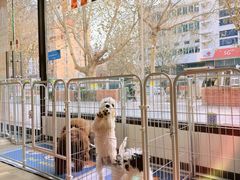 -萌小它宠物健康管理中心(怡海家园店)