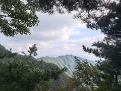 -王顺山国家森林公园
