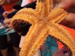 -东戴河风景区-止锚湾