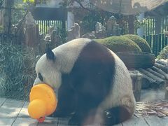 -大连森林动物园