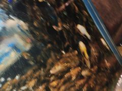 -龙宴海鲜城(经中路店)