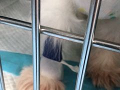 -恒幸动物医院·急重症转诊中心·神经内外科·CT核磁