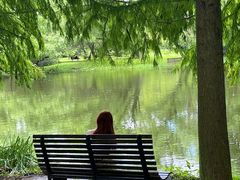 -上海共青森林公园