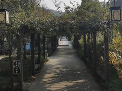 -白马涧龙池景区