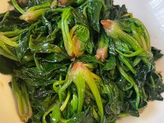 清炒土菠菜-同庆楼(大钟寺店)