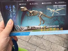 -自贡恐龙博物馆