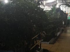 -天发长铁锅炖(王秀村店)