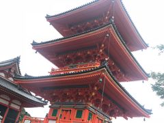 -有栖山 清光院 清水寺