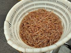 -沈家门渔港