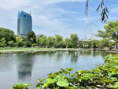 -无锡蠡湖国家湿地公园-蠡园