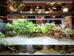 -牛品福潮汕牛肉火锅(旺庄店)