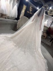 -艾米丽婚纱礼服