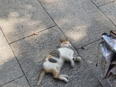 -西园戒幢律寺