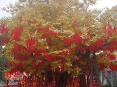 -济南方特东方神画