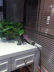 点击看大图 -PIONEER·韩式