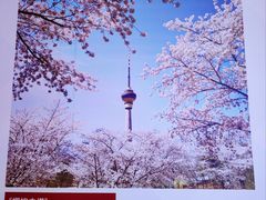-中央广播电视塔