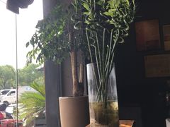 -友乐达台北精致面馆(张江店)