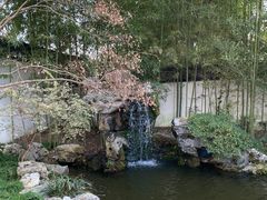 -上海醉白池公园
