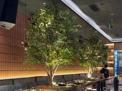 -同仁四季椰子鸡(海岸城天利店)