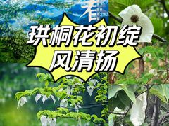 -国家植物园