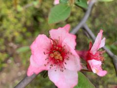 -白塘生态植物园