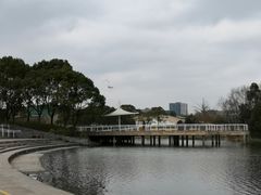 -新江湾城公园