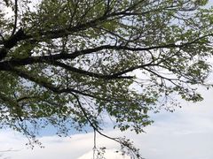 -富士山吉田線五合目