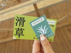 -186彩带河