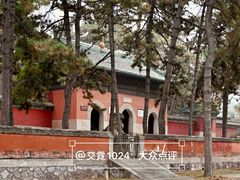 -普乐寺