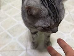 -宠福鑫康馨动物医院·骨科·眼科