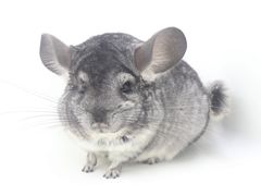 -龙猫仔乐园(惠福东路店)