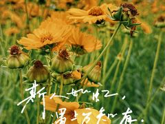 -光福景区
