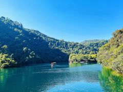 -鼎湖山风景区