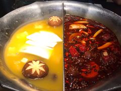 台式麻辣花胶鸡鸳鸯锅-湊湊火锅·茶憩(世博大道店)