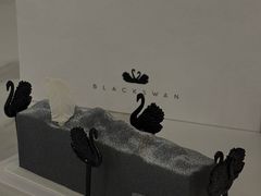 -BLACKSWAN黑天鹅(环球店)