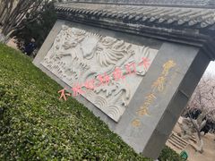 -桃花堤公园